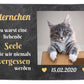 Gedenktafel für Tiere mit Foto, Namen und Datum mit Herzen in Gelb M0262 - meinleinwand.de