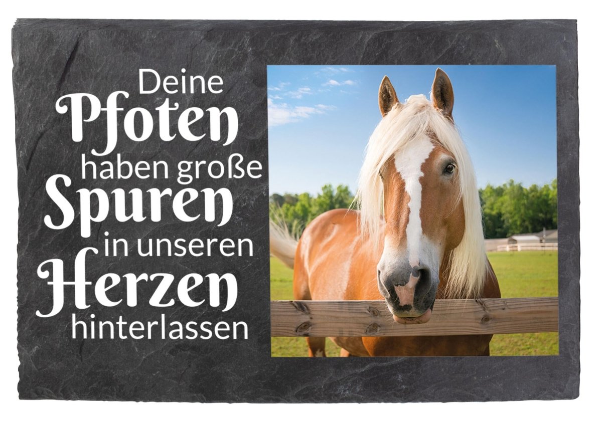 Gedenktafel für Tiere mit Foto und Spruch in Weiss M0248 - meinleinwand.de
