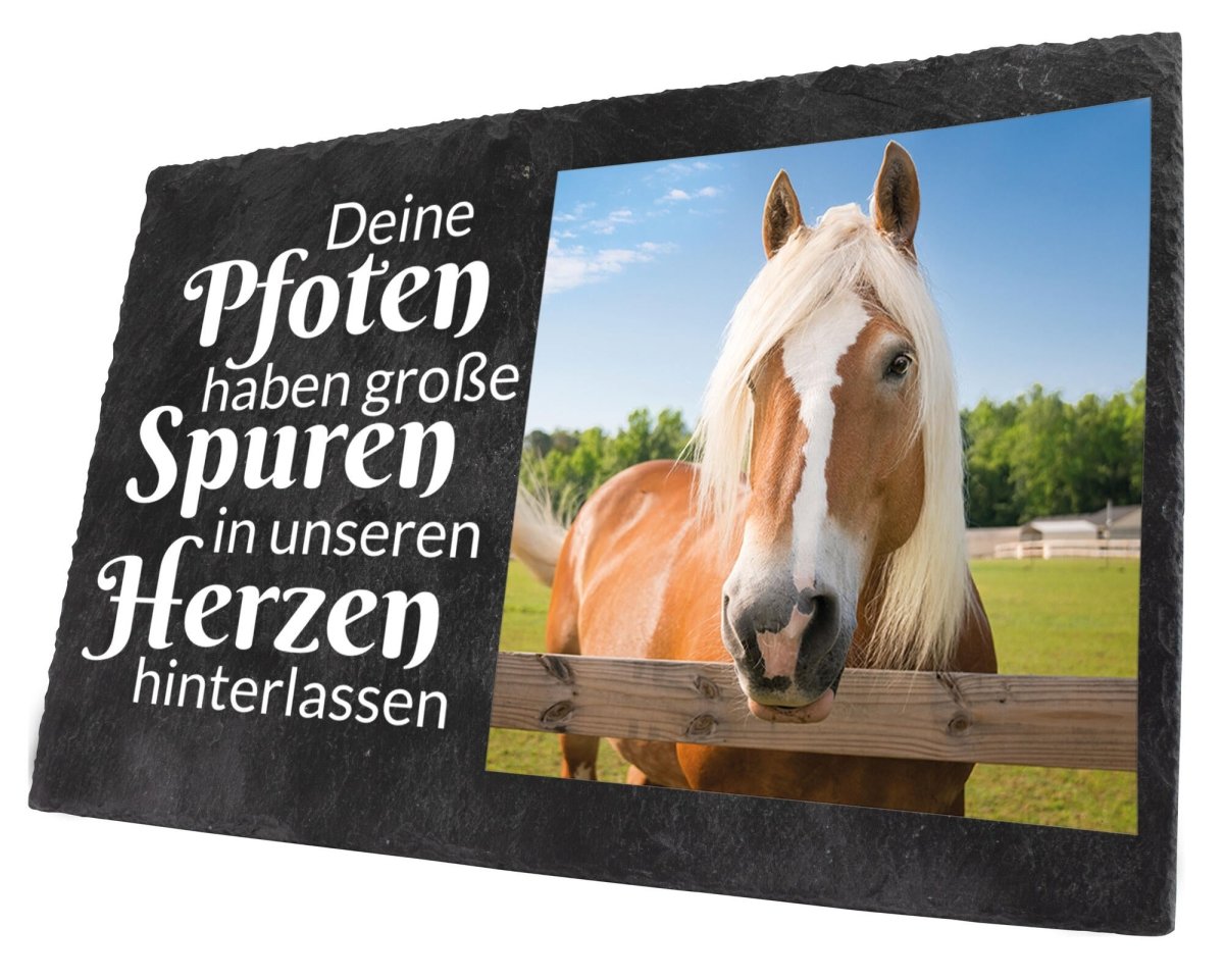 Gedenktafel für Tiere mit Foto und Spruch in Weiss M0248 - meinleinwand.de