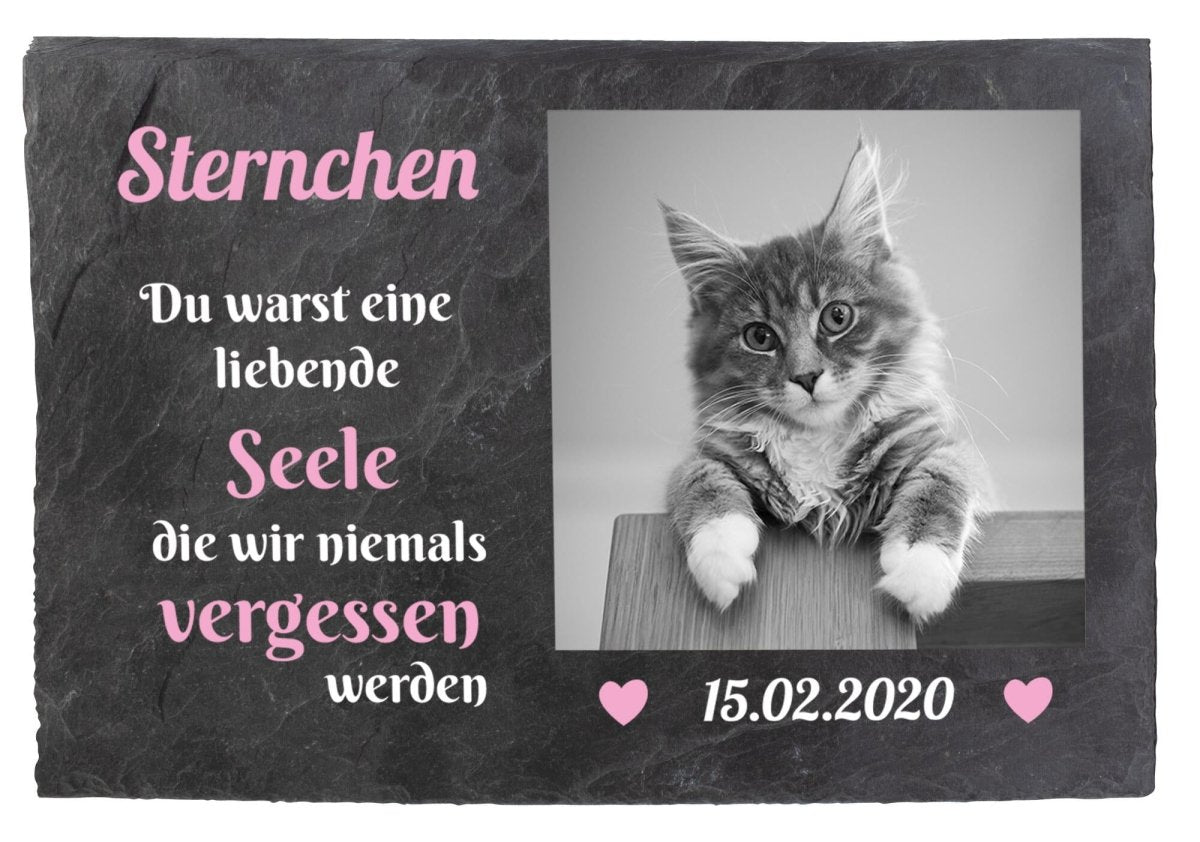 Gedenktafel für Tiere mit Bild, Namen und Datum in Rosa M0253 - meinleinwand.de