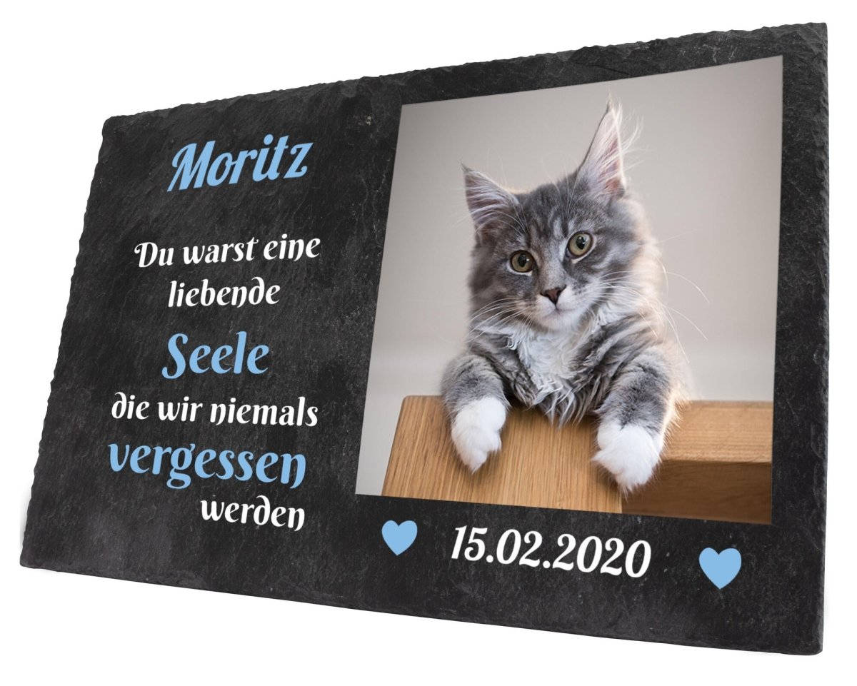 Gedenktafel für Tiere mit Bild, Namen und Datum in Blau M0256 - meinleinwand.de