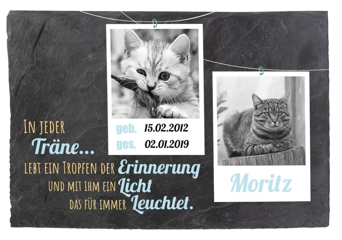 Gedenktafel für Tiere mit Polariodbildern in Schwarz/Weiss, Spruch, Namen und Datum in Blau M0267 - meinleinwand.de